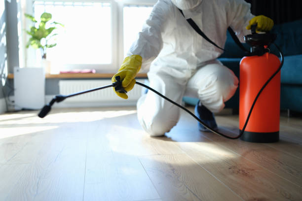 Reliable Odor Removal contractor in Halethorpe, MD by Trauma Clean Pros